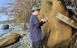 Muir Creek